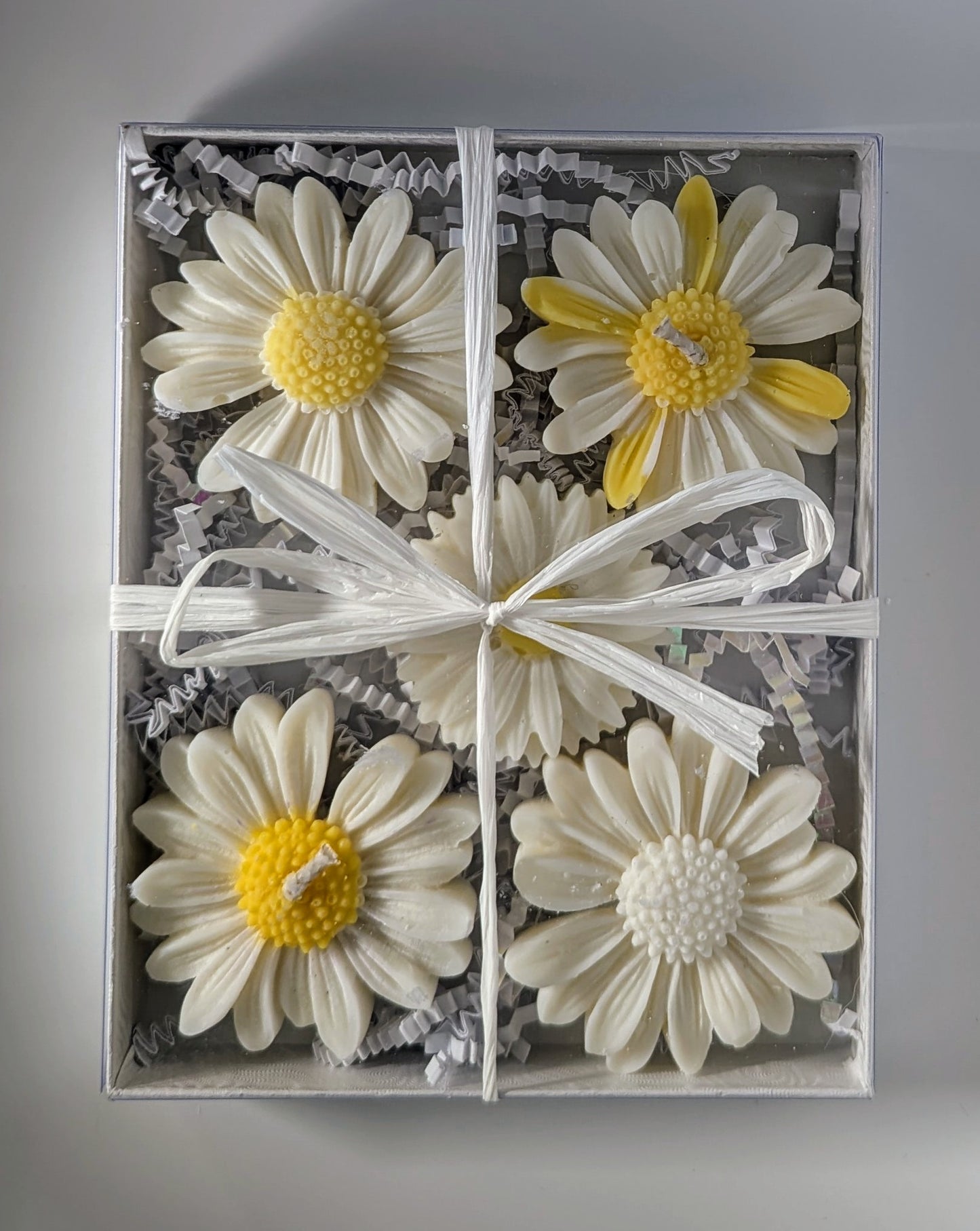 DAISY WAX MELTS - APPLE BLOSSOM