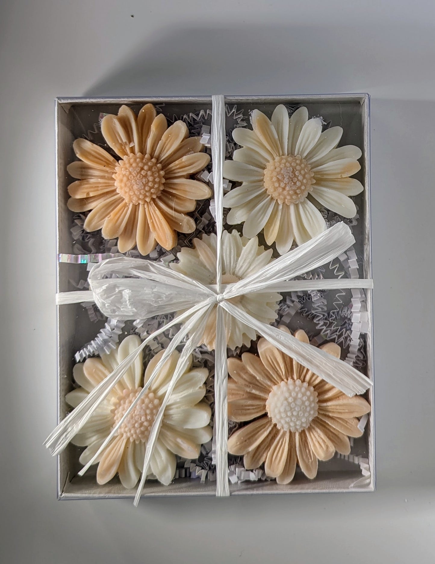 DAISY WAX MELTS - PEACHES & CREAM