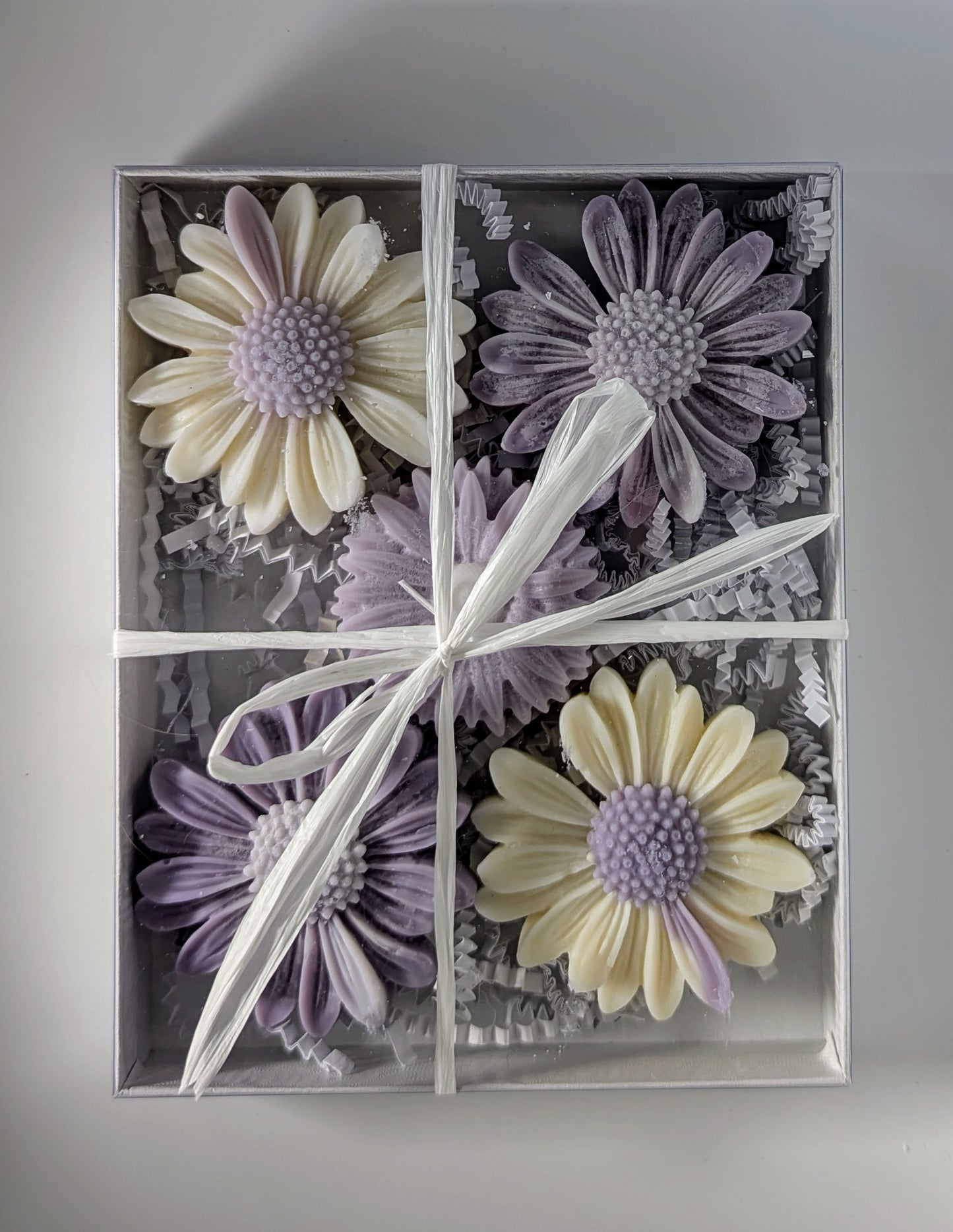 DAISY WAX MELTS - LAVENDER