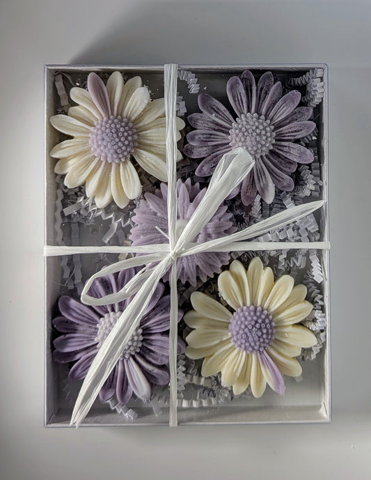 DAISY WAX MELTS - LAVENDER