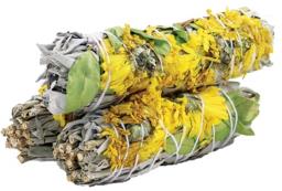 Sage Sticks - Sunflower - Cedar-Creek-Muskoka