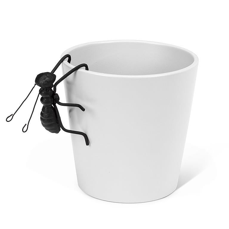 CAST IRON - ANT