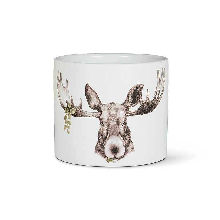MOOSE PLANTER