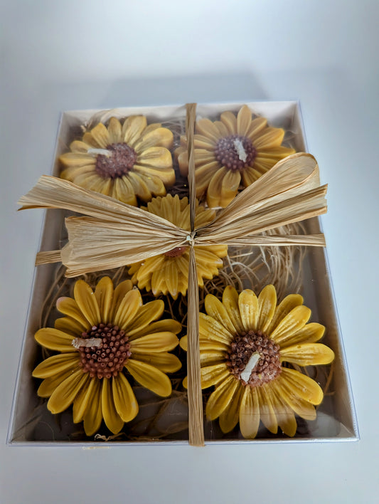 Daisy Wax Melts - Sunflower