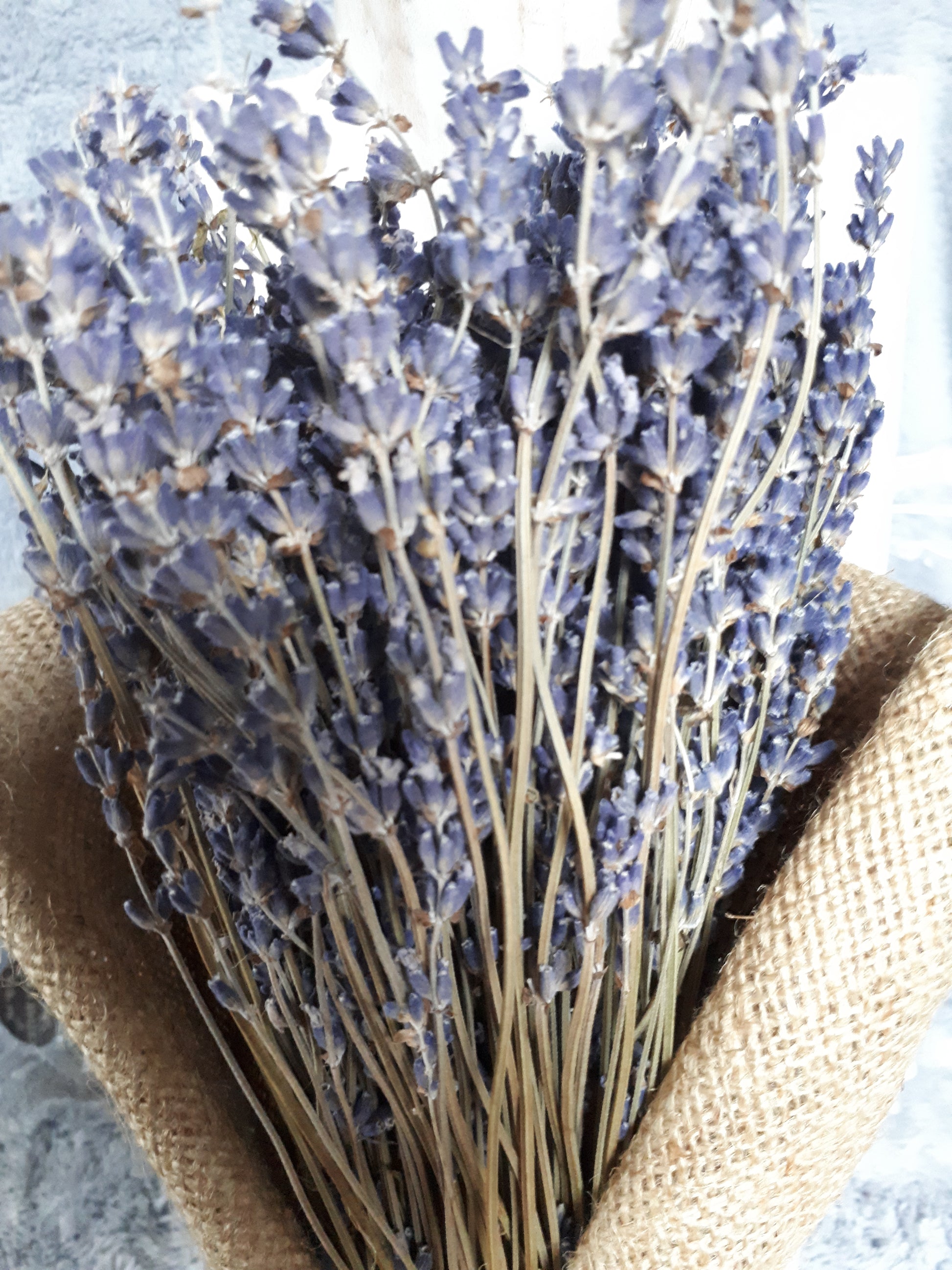 Lavender Bouquet - Cedar-Creek-Muskoka